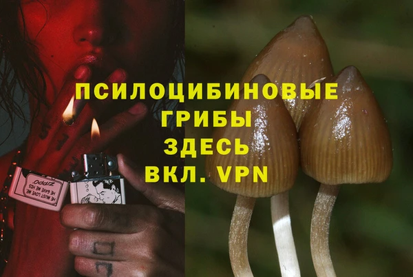 ГАЛЛЮЦИНОГЕННЫЕ ГРИБЫ Баксан